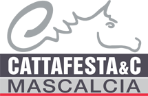 Cattafesta & C. Horseshoes