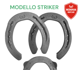 Werkman STRIKER 21/25x8 Hind due clip