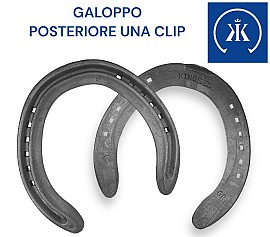 Kerckhaert KINGS EXTRA Sound Galoppo Ferro Hind una Clip