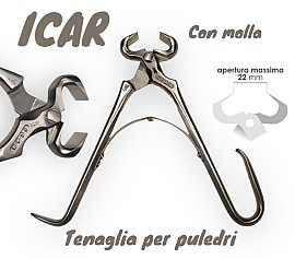 Tenaglia Pareggio Monomano per Puledri