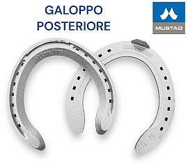 S.Croix CONCORD Galoppo Alluminio Hind una Clip