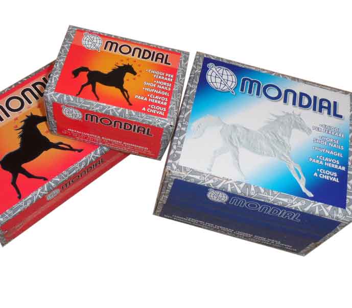 CHIODI BUE 500 pezzi