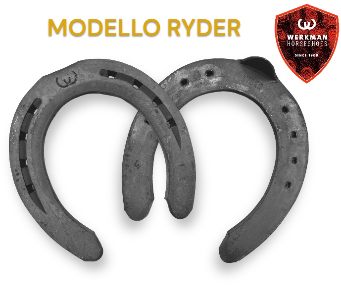 Werkman RYDER ORIGINAL MISURE TEDESCHE 19/22x8 una clip Front