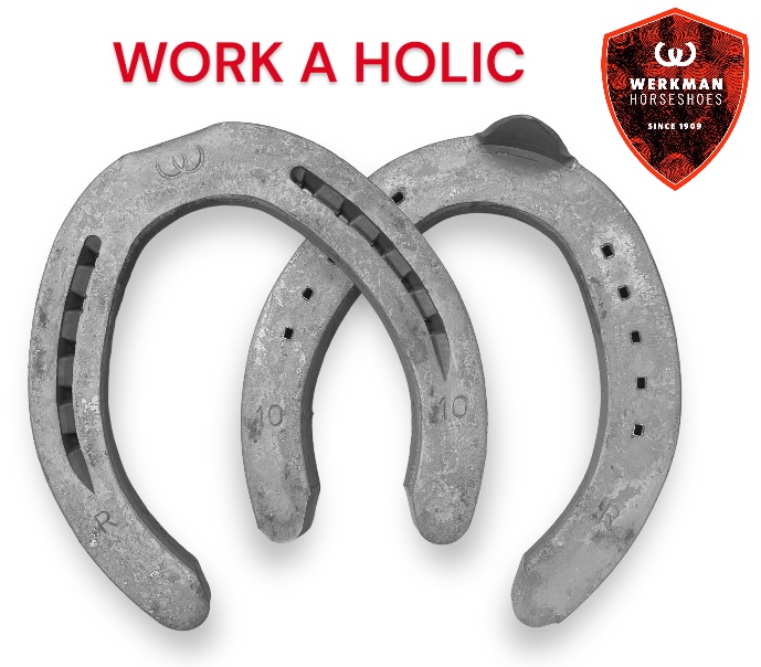 Werkman Ferro TPR una Clip Hind