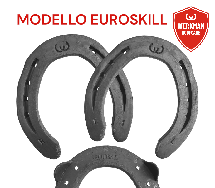 Werkman EUROSKILL 20x8/25x8/20x10 Hind due clip