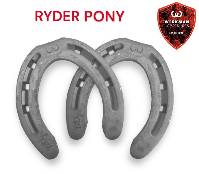 Werkman RYDER ORIGINAL Pony 15x6 Hind una Clip