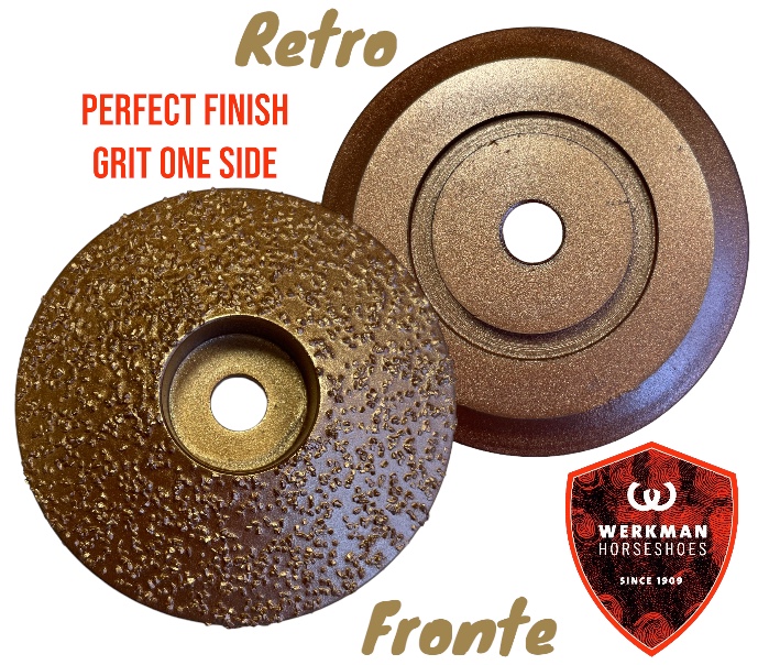 Werkman hoof Grinder Disco Diamantato per Pareggio Perfect Finish
