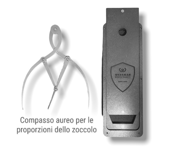 Werkman Compasso Golden Proporzione Aurea