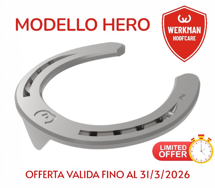 Werkman Hero Anteriore Una Clip sezione 20/22/25x8