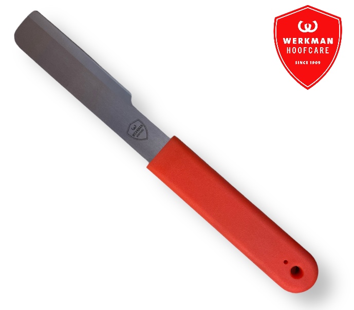 Coltello dritto maniscalco 280mm