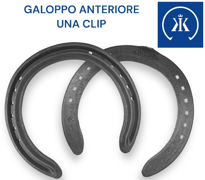 Kerckhaert KINGS DR Galoppo Ferro 16x8 Front una Clip