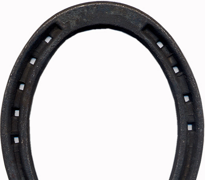 HA-Trotto Ferro Galoppina 15x5 hind_2