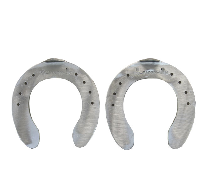 FAPBW Ferri Tallone Largo front una clip_1