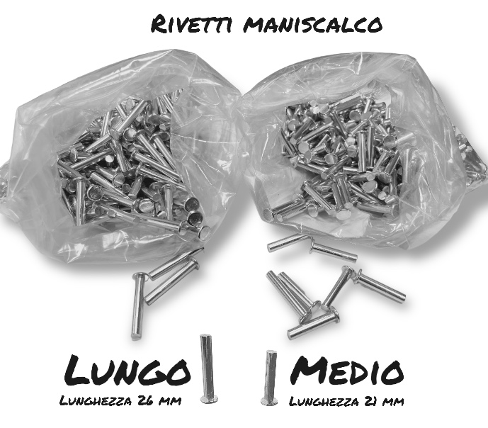 Colleoni Rivetti in Alluminio pz. 250