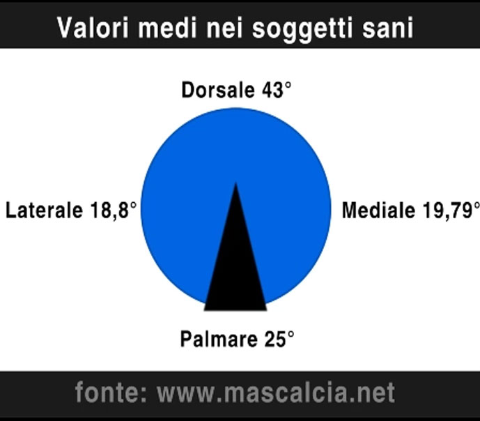Colleoni Mascalcia Digital Extension_16