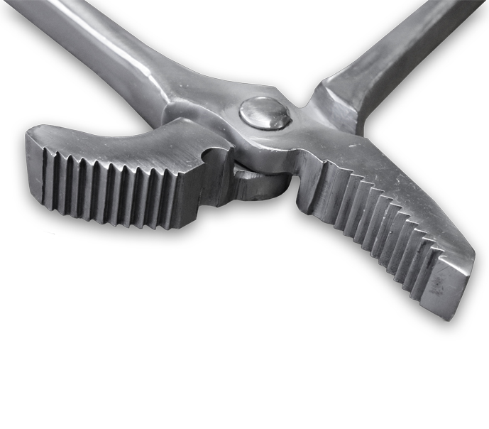 Tenaglia Tirachiodi per Maniscalco per Chiodi Alti_2