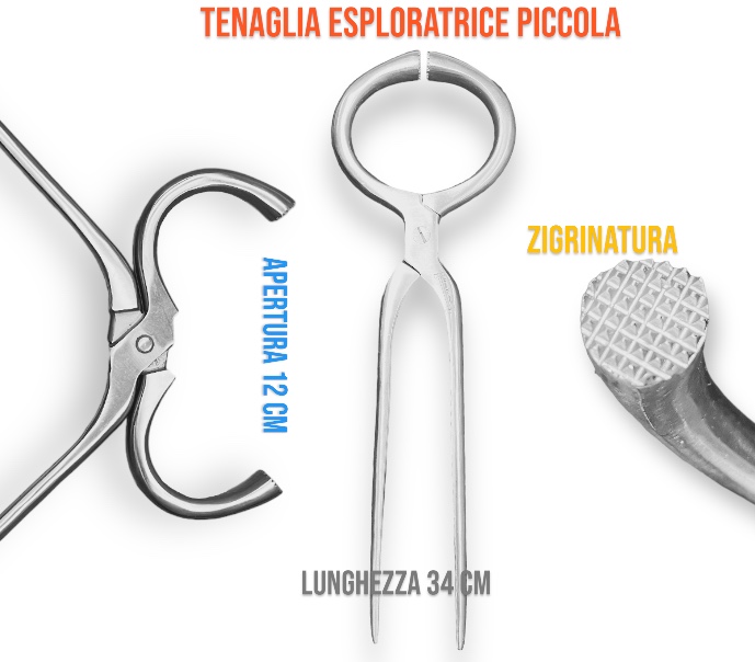 Farrier Tools Tenaglia Esploratrice lucida Piccola