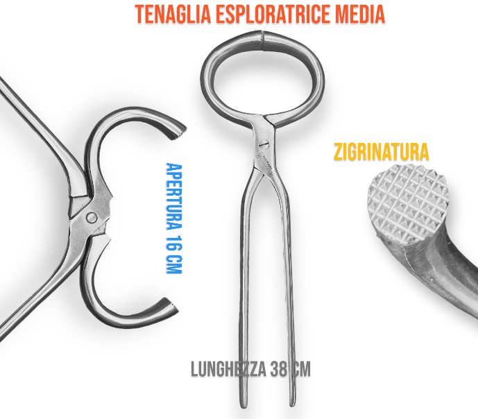 Farrier Tools Tenaglia Esploratrice lucida Media