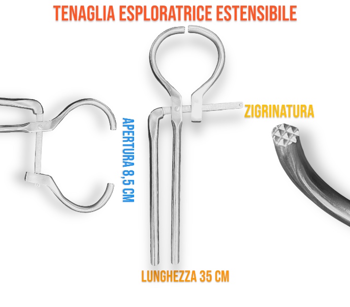 Farrier Tools Tenaglia Esploratrice Regolabile