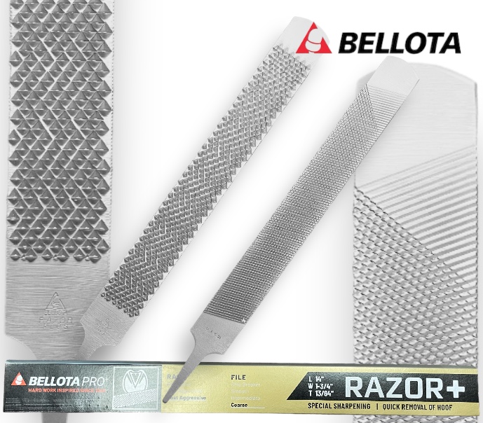 Raspa Bellota Razor Plus