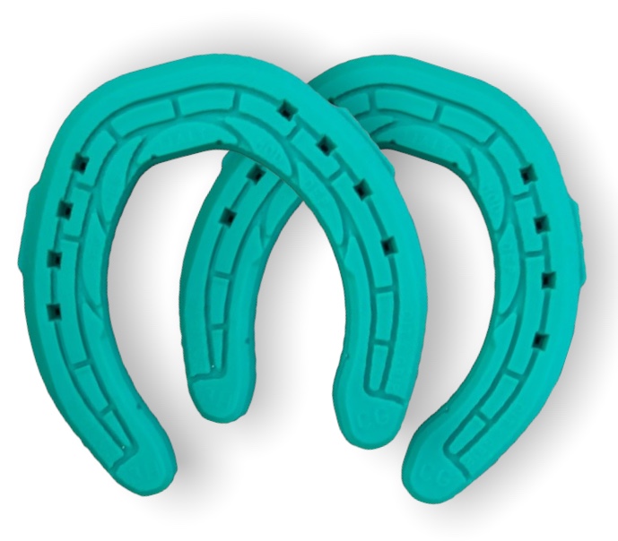 Equiria CGH Scanalato