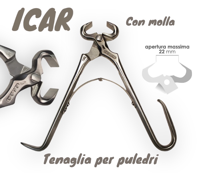 Tenaglia Pareggio Monomano per Puledri