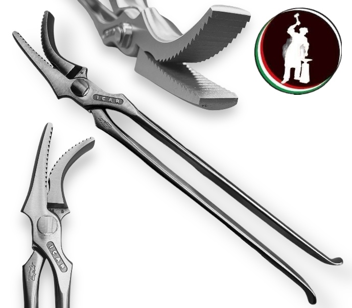 Tirachiodi per MONTA AMERICANA QUARTER HORSES