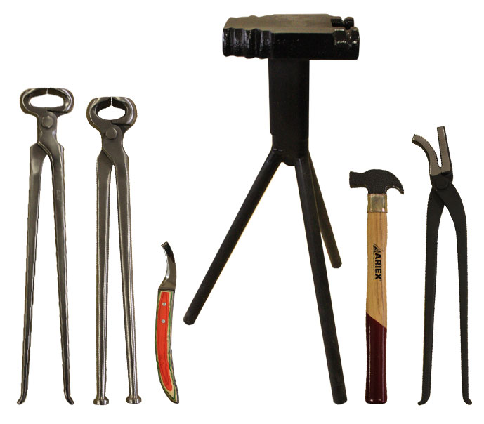 Equipaggiamento Maniscalco con Incudine Portatile 6 Pezzi