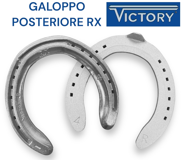 Victory RX  Alluminio con Salvapunta e Barbetta Hind