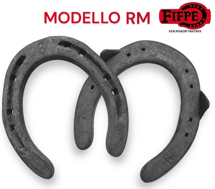 Fifpe Ferro RM Sella Hind due Clip