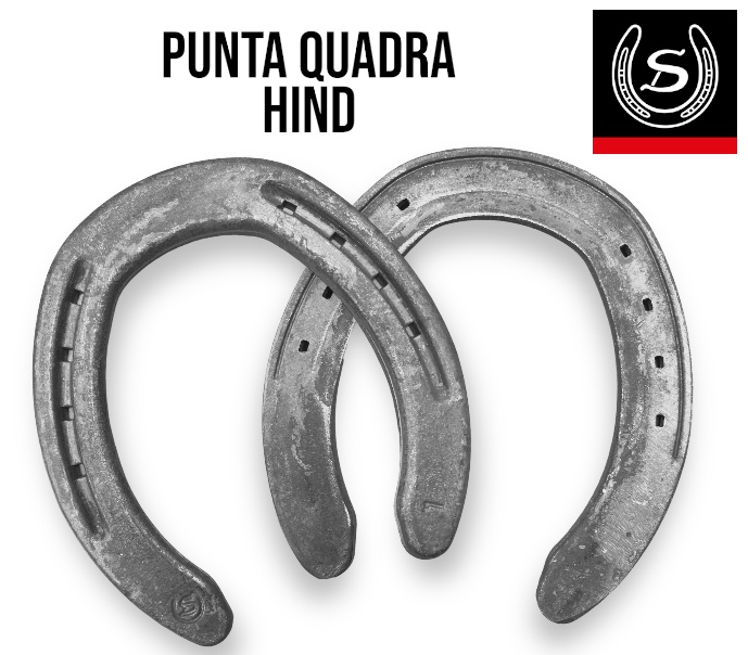 Double S QH7B  Ferro Punta Quadra Hind