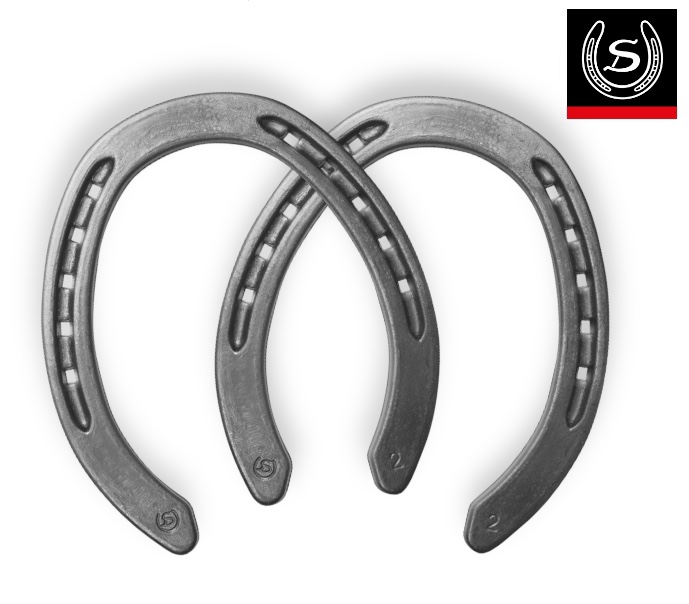 TB-Trotto 16x6 Ferro Rigato Punta Piena Hind