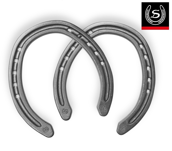 TBR-Trotto 16x6 Ferro Rim Hind