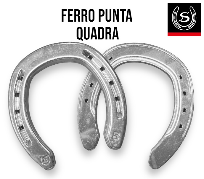 Double S QHFA  Alluminio Punta quadra Front