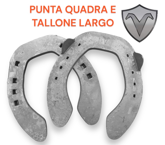 Visani PUNTA QUADRA Hind due Clip