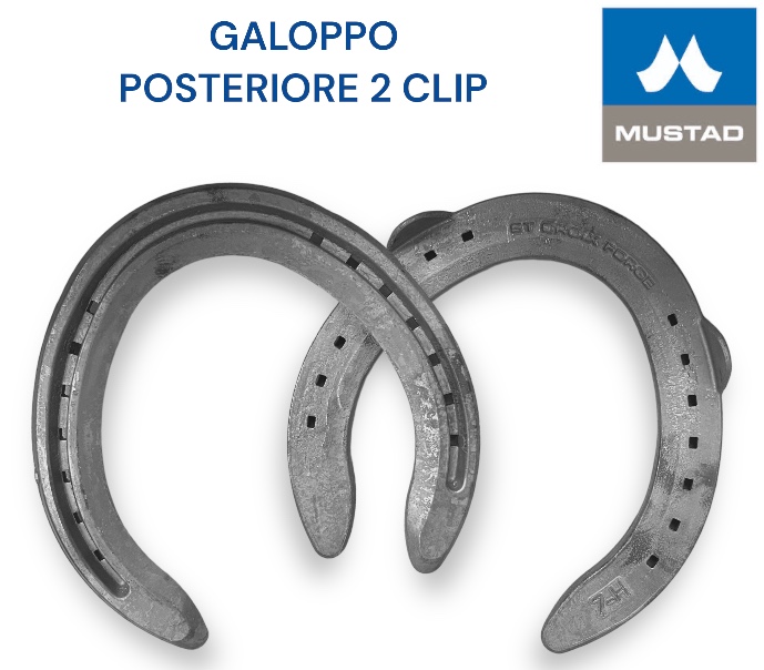 S.Croix CONCORD Galoppo Ferro Hind due Clip