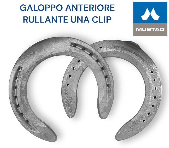 S.Croix CONCORD EQUI-LIBRIUM Galoppo Ferro Front una Clip