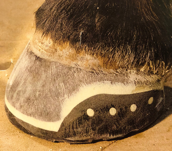 Easy Shoes PERFORMANS N/G_1