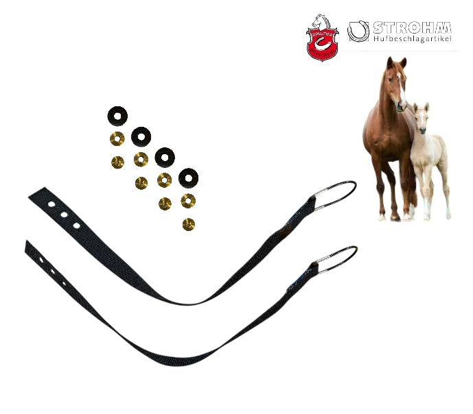 Dallmer RICAMBI Cinturino