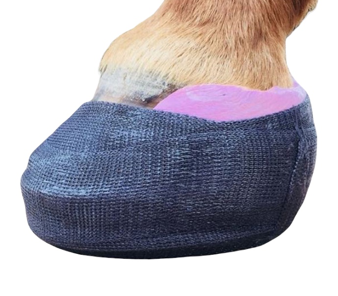 HOOF CAST Bende Gessate per Protezione zoccolo