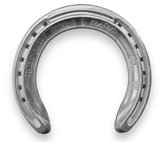 Thoro&rsquo;Bred Galoppo Alluminio Anteriore una clip_1