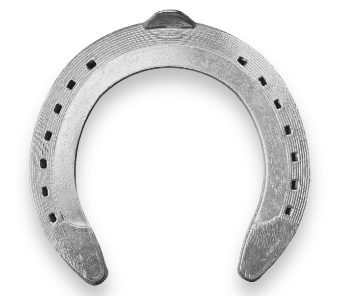 Thoro&rsquo;Bred Galoppo Alluminio Anteriore una clip_2