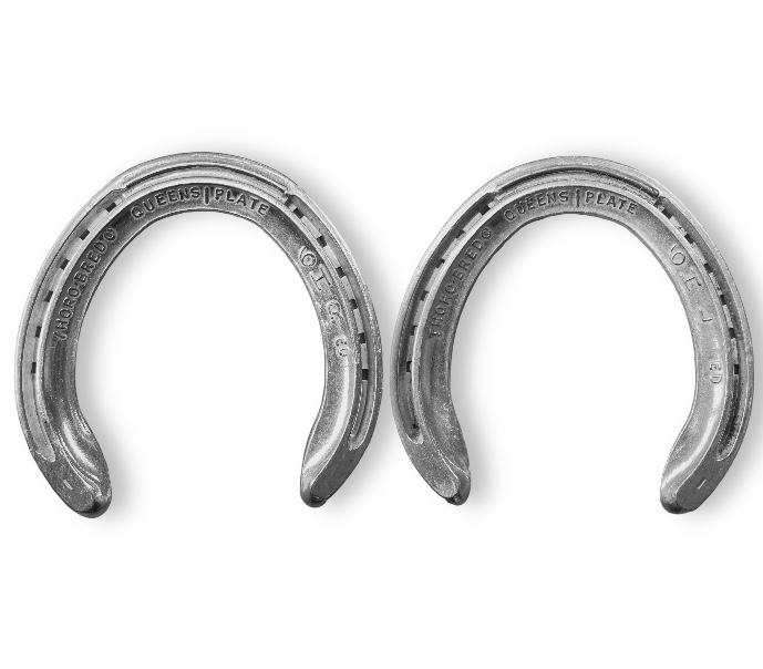 Thoro&rsquo;Bred Galoppo Alluminio Posteriore una clip_1